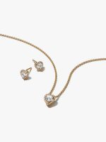 Golden Elevated Heart Jewelry Gift Set