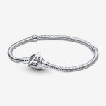 The Logo Clasp Snake Chain Bracelet