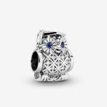 Owl Graduation Charm