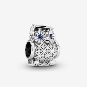 Owl Graduation Charm