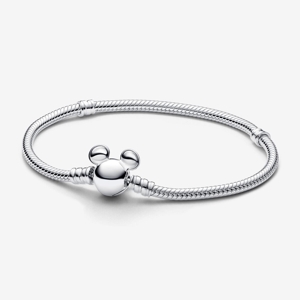 Full Collection Charm Bracelet Set