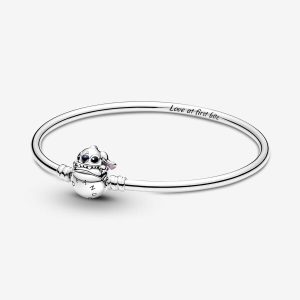 Biting Clasp Bangle