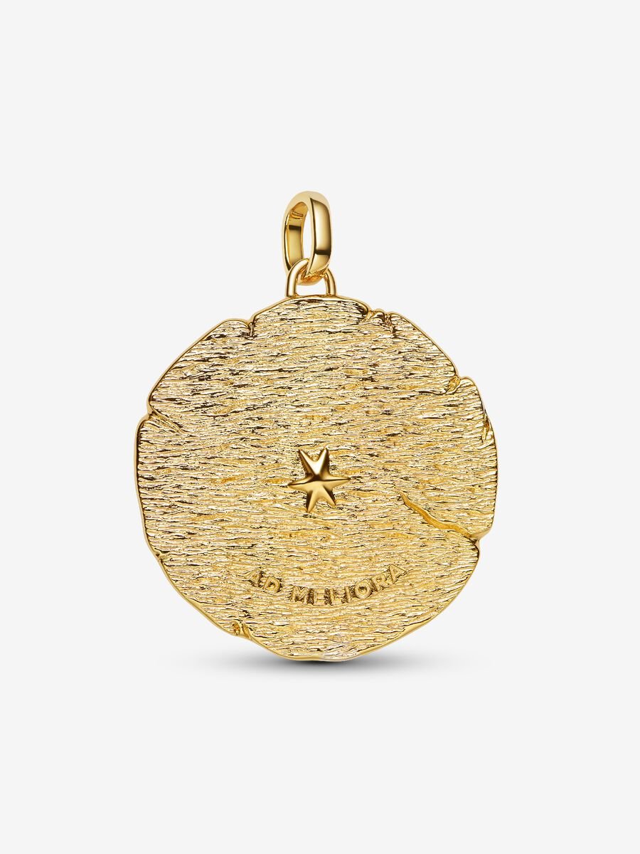 Crossing Arrows Oversized Medallion Charm - Image 3