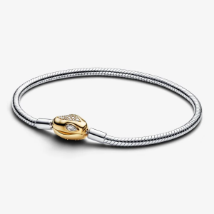 Snake Clasp & Chain Bracelet