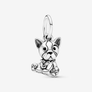 Bulldog Puppy