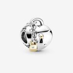 Two-Tone Heart and Lock Charm