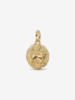 Write a review Lion Medallion Charm