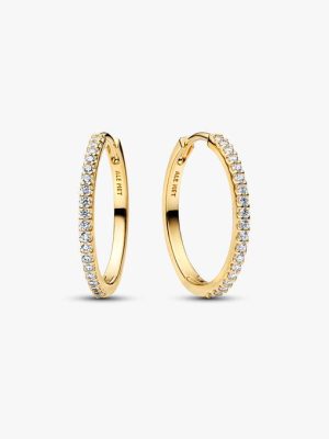 Sparkling Hoop Earrings