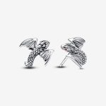 Co-branded earrings