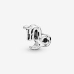 Sparkling Capricorn Zodiac Charm