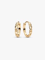 Figaro Hoop Earrings