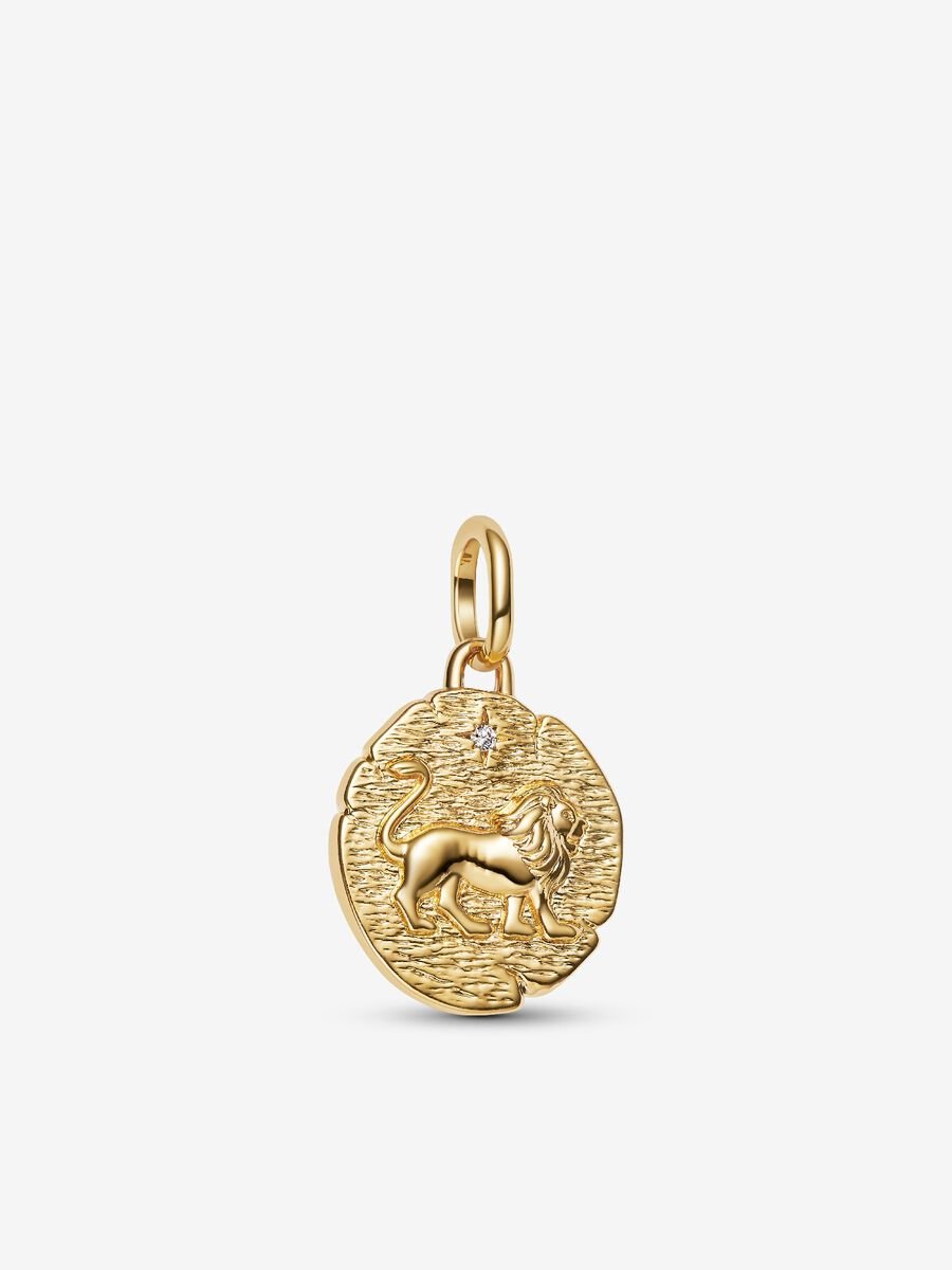 Lion Medallion Charms Earrings - Image 3