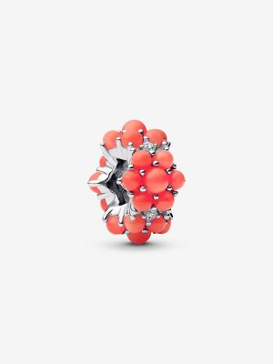 Coral-colored Ocean Charm