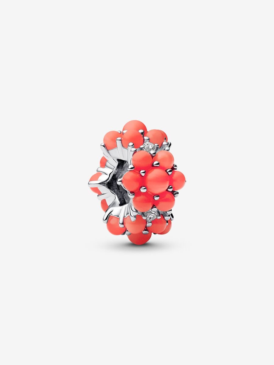 Coral-colored Ocean Charm