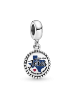 Texas State Map Dangle Charm