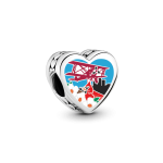 NC Land of Sky Charm
