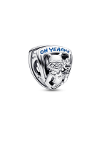 Marvel Guardians of the Galaxy Rocket Raccoon & Groot Emblem Charm