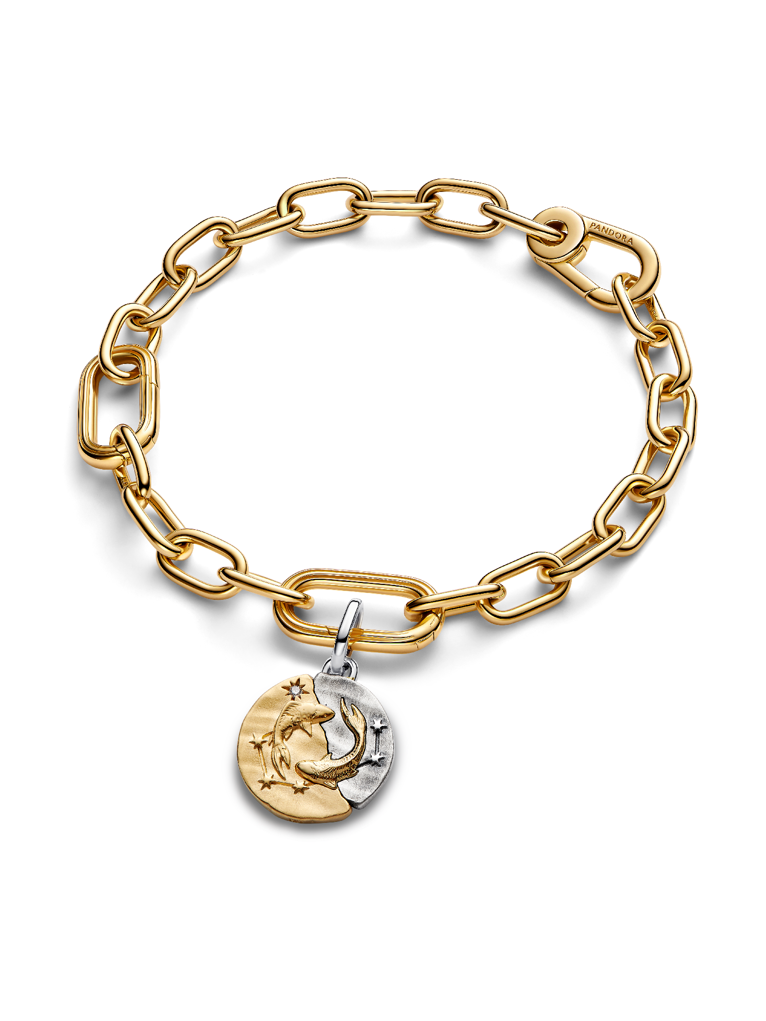Pisces Zodiac Medallion Charm - Image 4