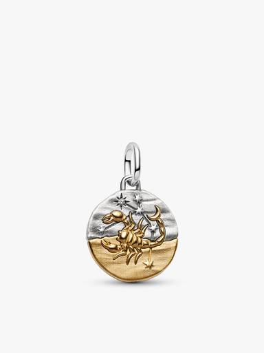 Scorpio Medallion Charm Bracelet Set - Image 5