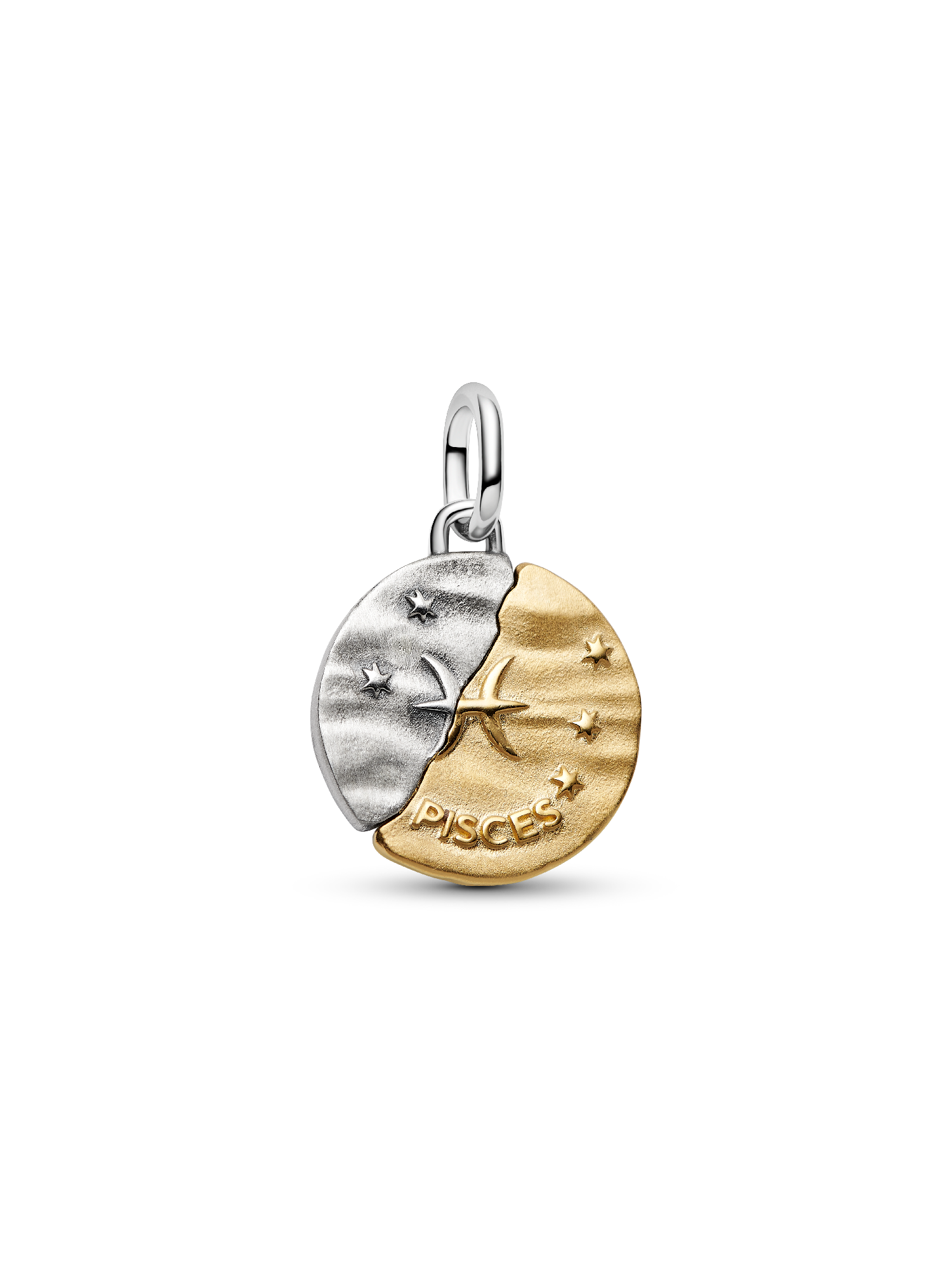 Pisces Zodiac Medallion Charm - Image 3