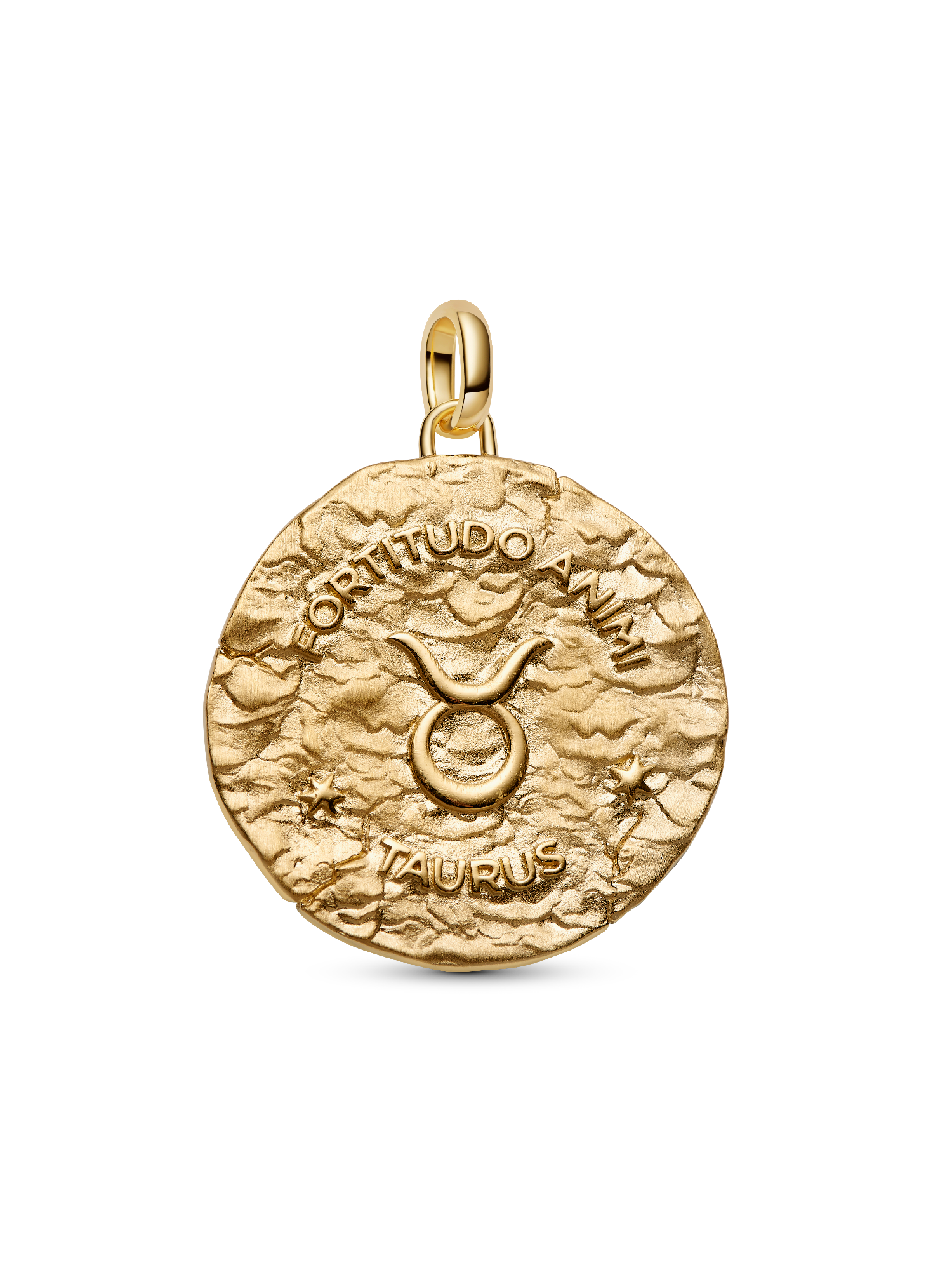 Taurus Zodiac Oversized Medallion Charm - Image 3
