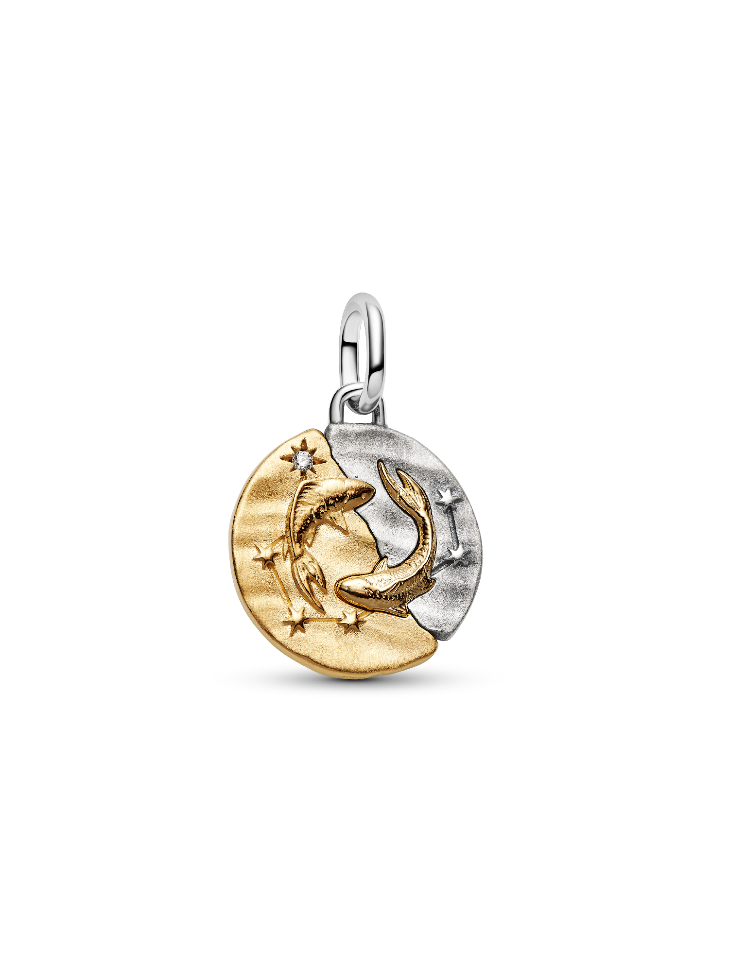 Pisces Zodiac Medallion Charm - Image 2