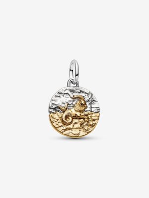 Capricorn Zodiac Medallion Charm