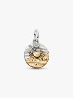 Cancer Zodiac Medallion Charm