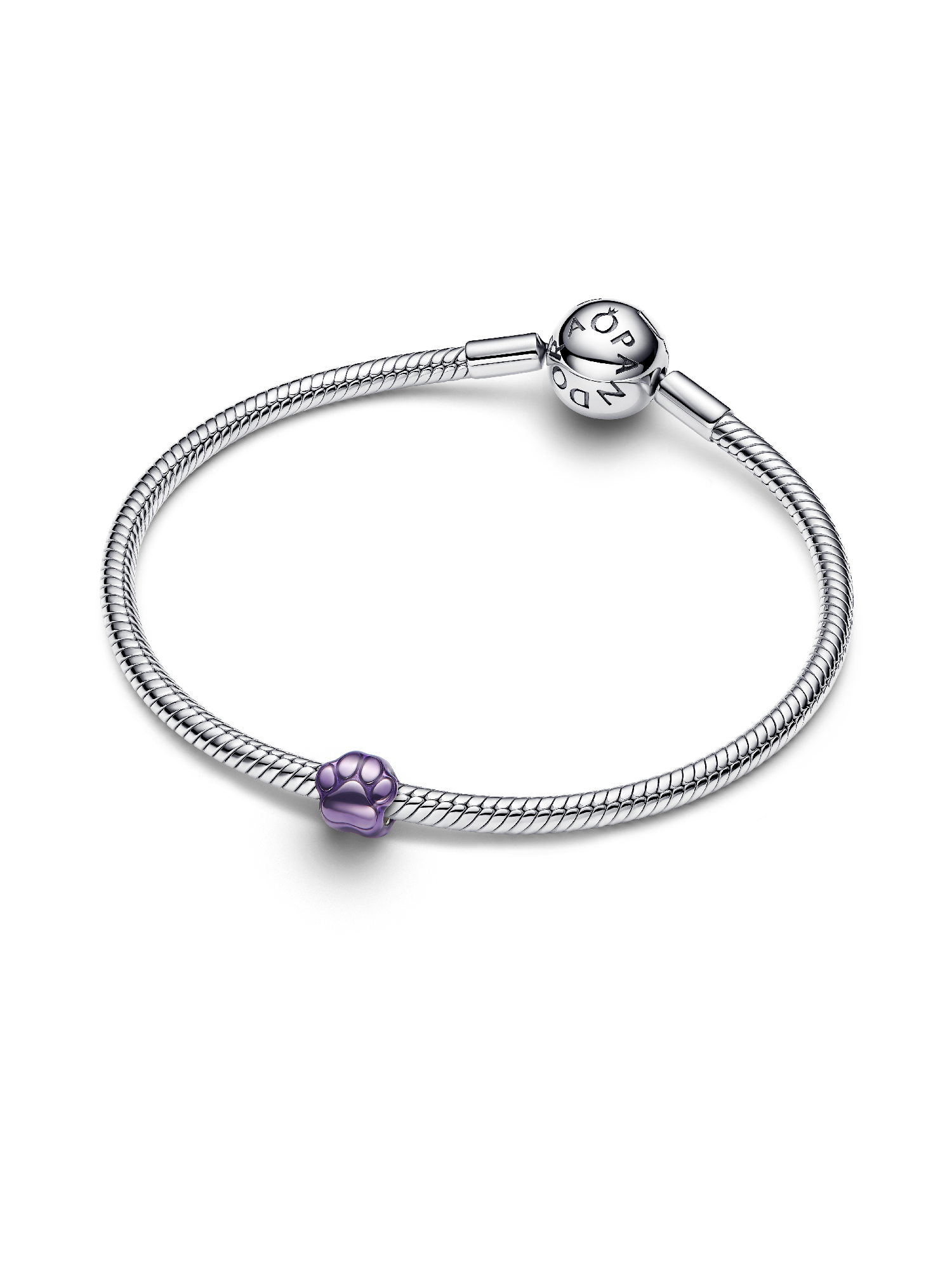 Purple Paw Mini Charm - Image 4