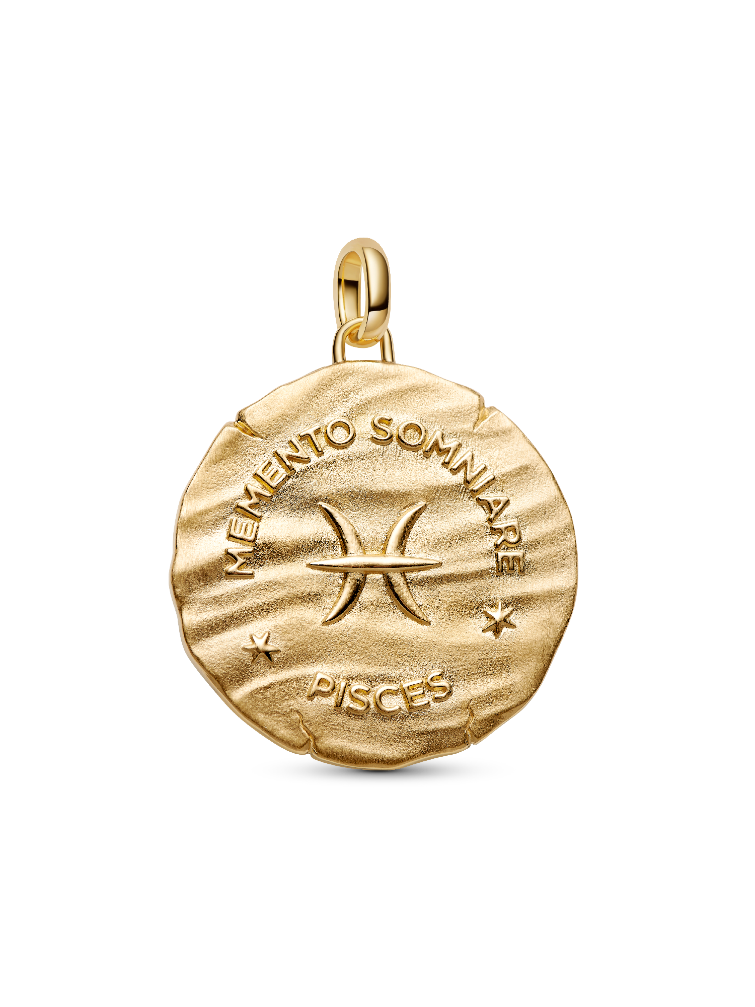 Pisces Zodiac Oversized Medallion Charm - Image 3