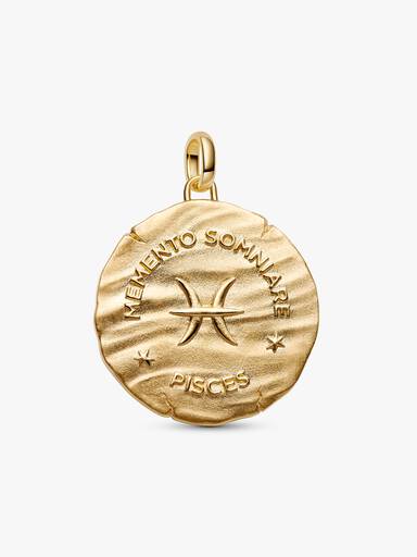 Pisces Zodiac Oversized Medallion Charm - Image 5